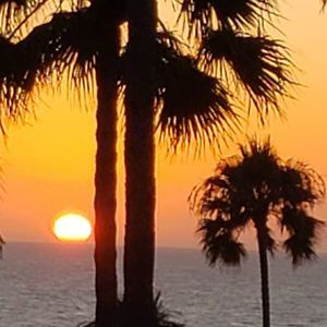 Meet your Posher, Vickey